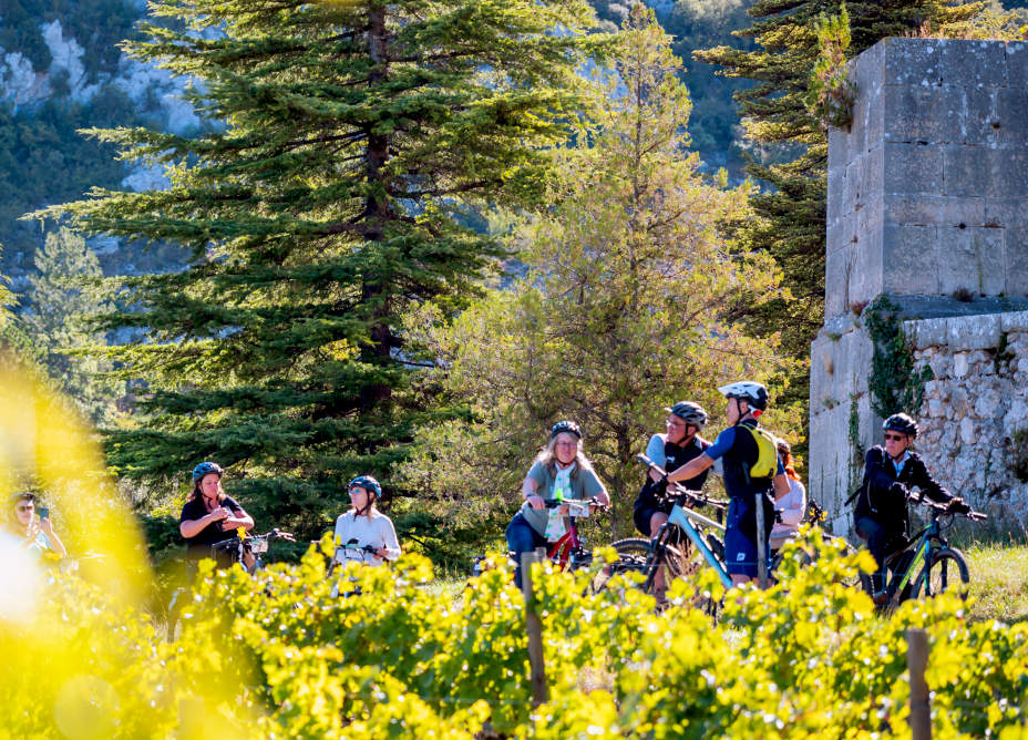 groupe de cycliste dans la nature