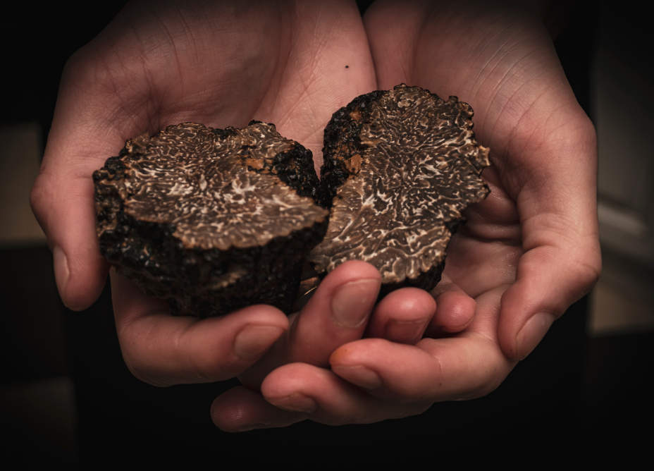 truffe noir